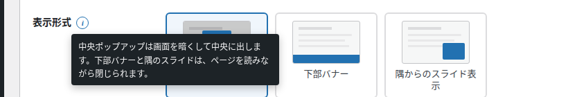 (i) の説明を表示したところ