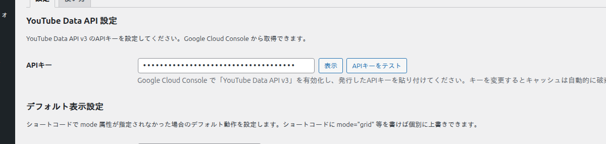 API キー入力欄と「表示」「API キーをテスト」ボタン